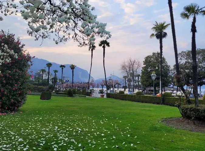 La Rosa Del Apartman *